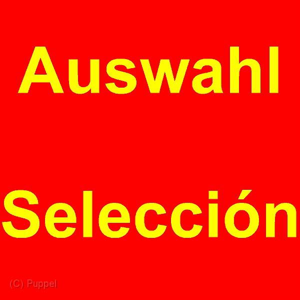 A AUSWAHL.jpg